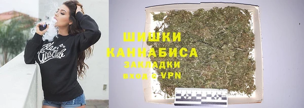 МДПВ Михайлов
