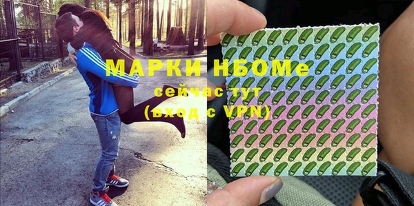 МДПВ Михайлов