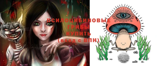 МДПВ Михайлов